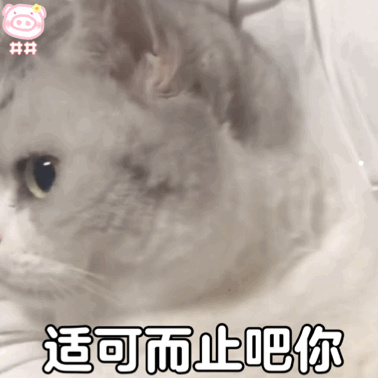 萨摩耶小狗怎么喂养