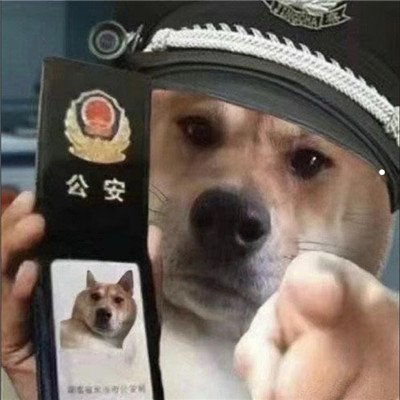猫一块块的掉毛