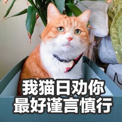 猫爬猫砂盆里是什么原因