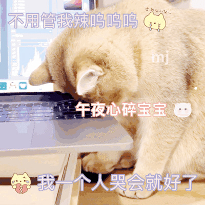 折耳蓝猫为什么不喜欢人抱