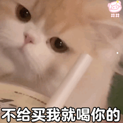 美短不让抱