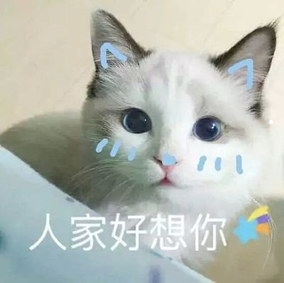 狗狗全身水肿是什么原因