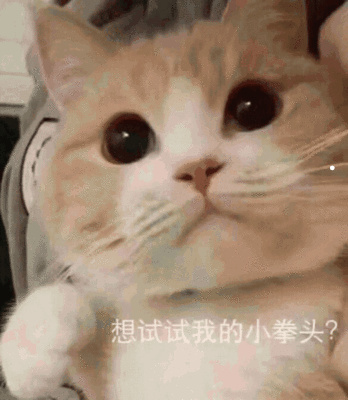猫不喜欢狗是有原因的