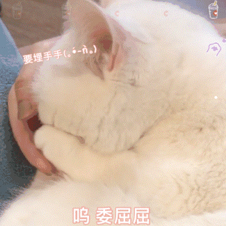 狗狗去泪痕什么最管用