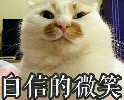 家猫为什么会得猫癣
