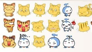 布偶猫唯美高清壁纸