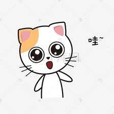 二千元左右的品种猫
