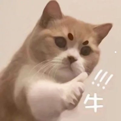 猫咪秃了一块不是猫癣