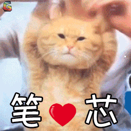 被自家猫抓伤了怎么办