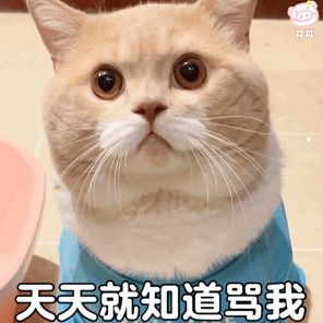 巴哥犬好吃吗
