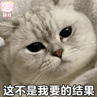 猫没有狂犬病抓伤人会得狂犬病吗