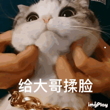 世界狗品种大全及图片