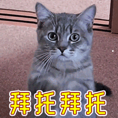 猫都有哪些种类