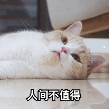 被猫咬了10天后猫没事