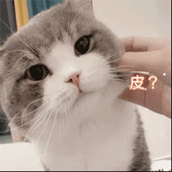 一万多的车有哪些