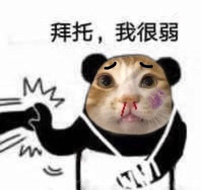 猫咪对主人信任等级