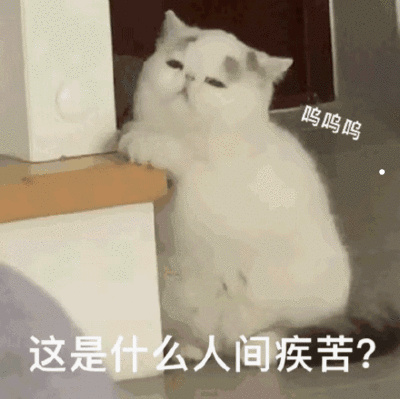 土猫品种所有