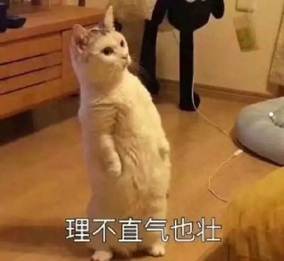 最贵的猫是哪种