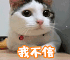 猫可以拿去哪里卖