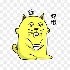 家里很多人猫咪认谁是主人