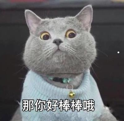 适合家养不咬人的宠物