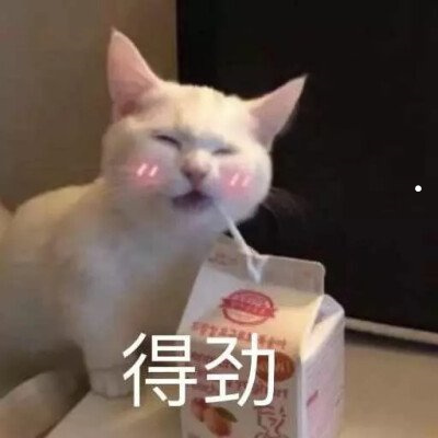 被猫咬了15天了怎么办