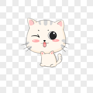 布偶猫的大概价格2021