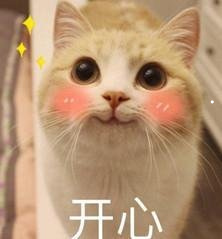 猫10天没死就没狂犬病