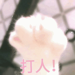 英短和橘猫哪个好养