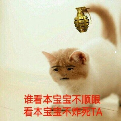 常见狗狗品种大全及图片价格