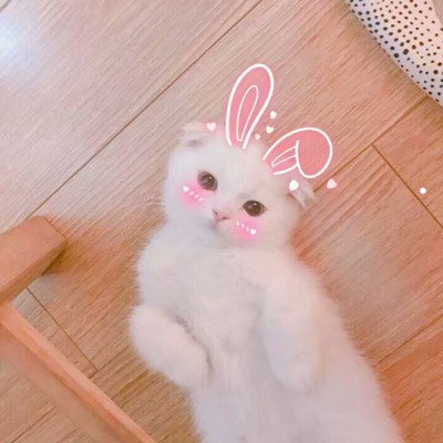打狂犬疫苗中途又被咬了