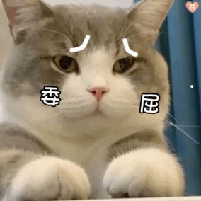 打完猫一直叫