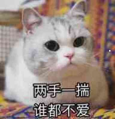 猫呼吸的时候咕噜咕噜