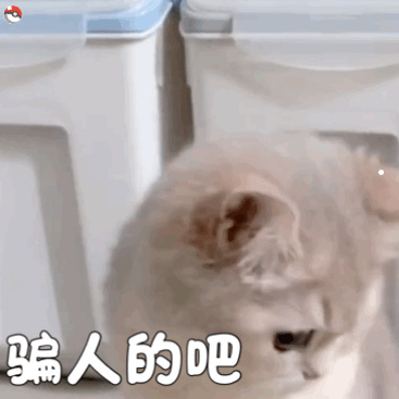吸引猫咪声音