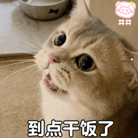 猫咪打喷嚏喷出黄鼻涕半年了