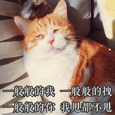 百元店