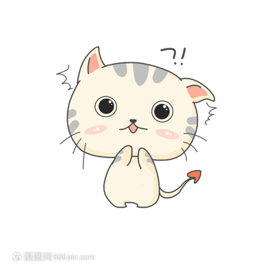养猫难不难
