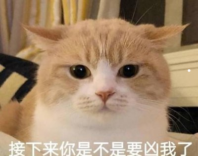 养公的狗还是母的狗好些