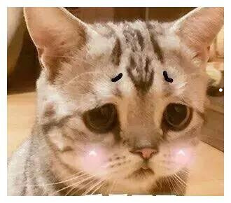 猫的胡子根部发黑