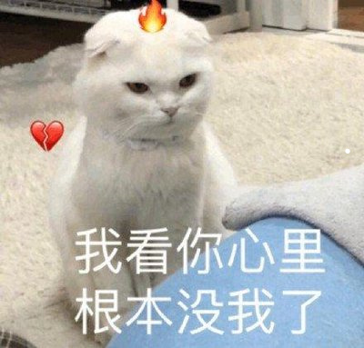 好看的狗狗微信头像图片