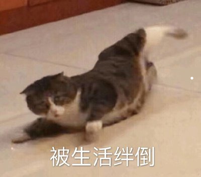 狗是养公的好还是母的好