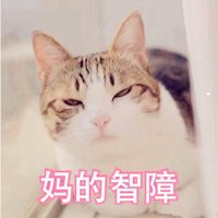 两百多块钱的猫