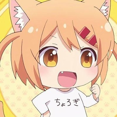 第一次养猫需要准备什么东西