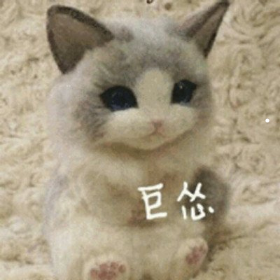 银渐层几个月长成型