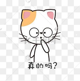 猫咪宠物品种