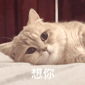 哪些物流可以寄宠物