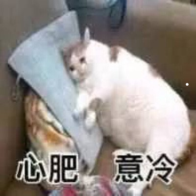 银渐层的胡子什么颜色