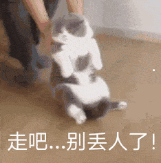 猫的品种的名字