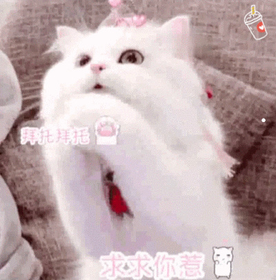 不同品种猫性格真的不一样吗