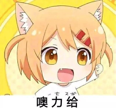 在哪里能买到小鳄鱼